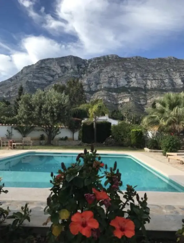 Terrasse et hibiscus au bord de la piscine